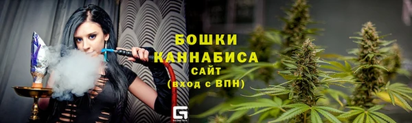 индика Богородск