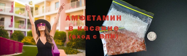 индика Богданович