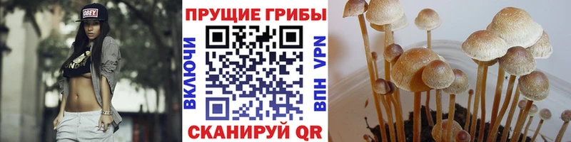 Галлюциногенные грибы Magic Shrooms  купить   Волчанск 
